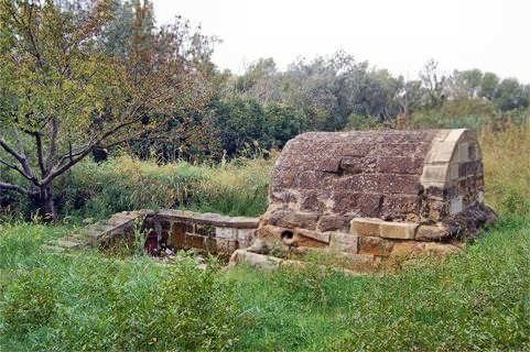 fuente de la mora de alfantega