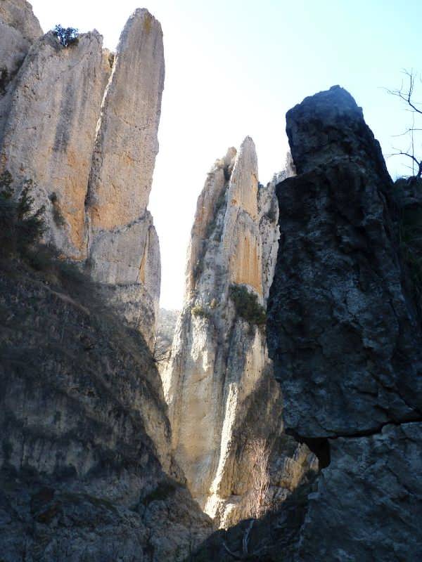 montsec de estall
